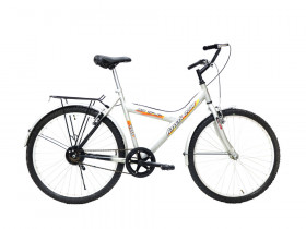 دوچرخه آساک مدل ASSAK GREY ویبریک 1 دنده سایز 26