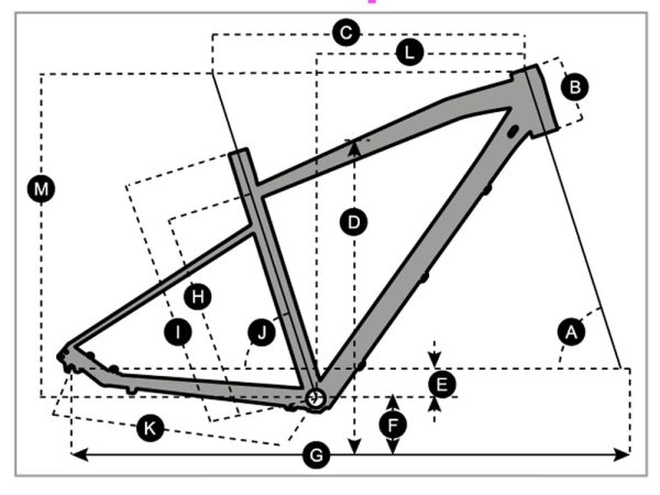 03-2019-SCOTT-SUCROSS-40