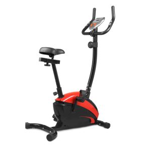 دوچرخه ثابت آیرون مستر مدل B 352