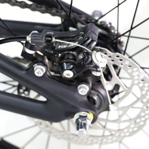 09-Bike-Canary-Space-Shuttle-20
