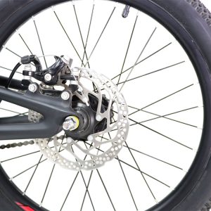11-Bike-Canary-Space-Shuttle-20