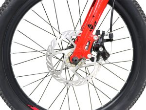 12-Bike-Canary-Space-Shuttle-20