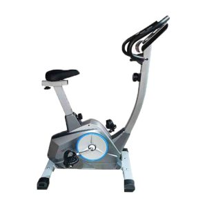 دوچرخه ثابت ایستاده 6001B EMH