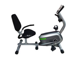 دوچرخه ثابت نشسته 6300 EMH