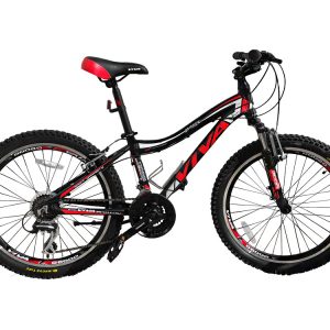 دوچرخه ویوا سایز 24 مدل Viva Spinner ویبرک 21دنده