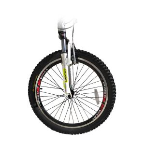 04-Viva-Senator-Bike-TeenagersS