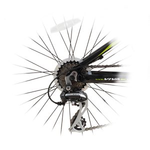 06-Viva-Senator-Bike-Teenagers