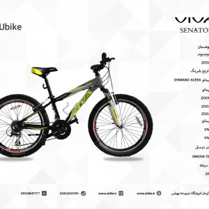 09-Viva-Senator-Bike-Teenagers