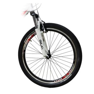 05-Viva-BEST-Bikes-26