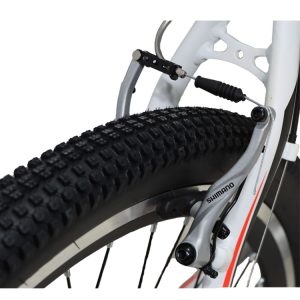06-Viva-BEST-Bikes-26