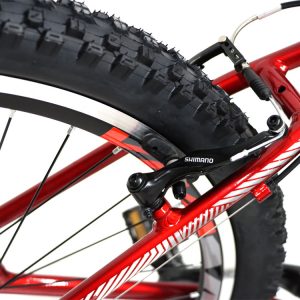 04-Bike-Viva-Jet-26