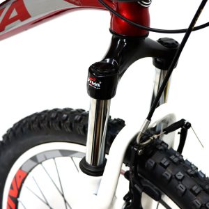 05-Bike-Viva-Jet-26