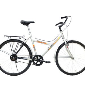 دوچرخه آساک مدل ASSAK GREY ویبریک 1 دنده سایز 26