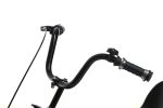 Tricycle-Alex-Harley-12-Inches-03