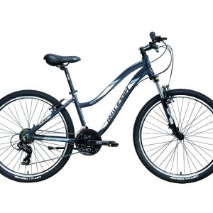 دوچرخه رالی سایز 26 مدل Raleigh Alpine 05 2022