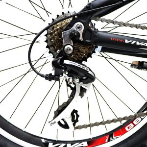 02-Bike-Viva-Senator-13