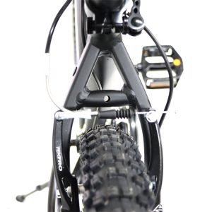 03-Bike-Viva-Blaze-29