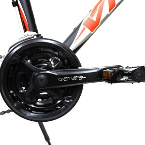 03-Bike-Viva-Senator-13