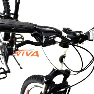 05-Bike-Viva-Senator-13