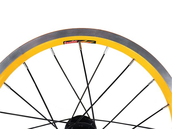 11-Bike-Rear-Rim-Royalbaby-16-Inches-20-Hole