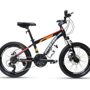 دوچرخه اورلرد سایز 20 مدل OVERLORD O20-D PLUS دیسک مکانیکی 24 دنده