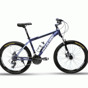 دوچرخه اورلرد سایز 24 مدل OVERLORD O20-D PLUS دیسک مکانیکی 24 دنده