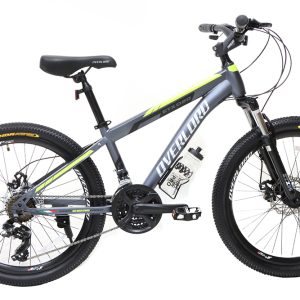 15-Bike-Overlord-ETX-O20-D-Plus-24-Inches-24-Speed