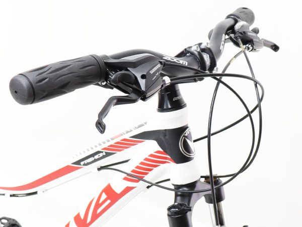 03-Bike-Viva-Fashion-Plus-24Inches-21Speed