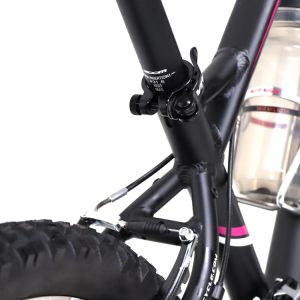 05-Bike-Viva-Dragon-Plus-24Inches-21Speed