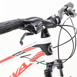 05-Bike-Viva-Fashion-24Inches-21Speed