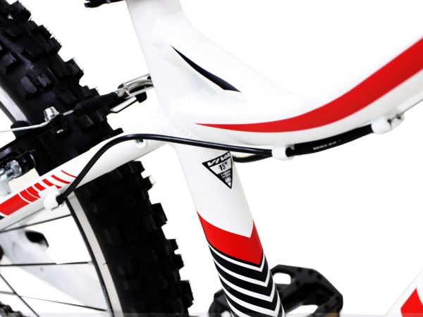 05-Bike-Viva-Fashion-Plus-24Inches-21Speed