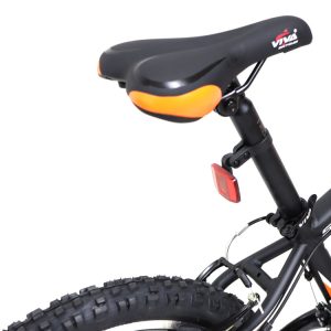 06-Bike-Viva-Senator-20-Inches-21-Speed (4)