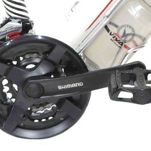 08-Bike-Viva-Fashion-Plus-24Inches-21Speed