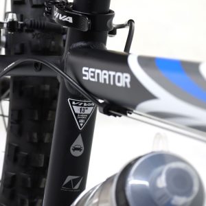 08-Bike-Viva-Senator-24-Inches-21-Speed