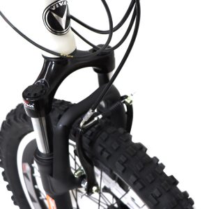 09-Bike-Viva-Senator-20-Inches-21-Speed-(5)