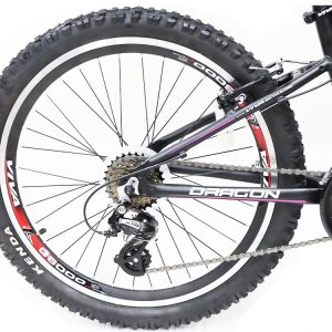 12-Bike-Viva-Dragon-Plus-24Inches-21Speed