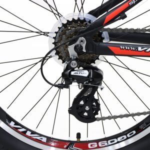 Bike-Viva-Spinner-Plus-24-Inches-21-speed-03