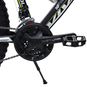 Bike-Viva-Turbowolf-27