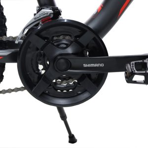 Bike-Viva-Walker-Plus-V-Brake-24Inches-21-Speed-02