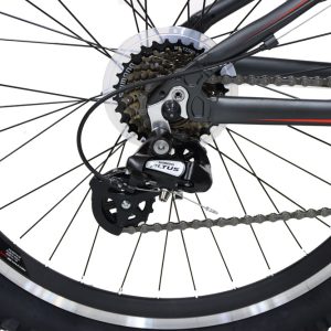 Bike-Viva-Walker-Plus-V-Brake-24Inches-21-Speed-03