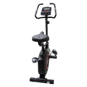 05-Stationary-Bike-Iron-Master-609B