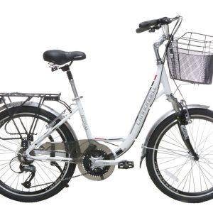 11-Bike-Cannondell-Royal-21-Speed-24I-nches