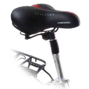 12-Bike-Cannondell-Royal-21-Speed-24I-nches