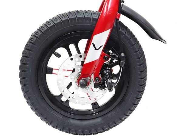 01-Bike-Ok-OV-2000-12-Inches