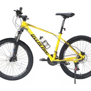 01-Bike-Overlord-Leo-ATX3