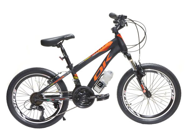 02-Bike-Ok-K2007-21-Speed-20-Inches