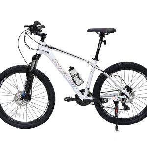 02-Bike-Overlord-PANAMERA-SE2