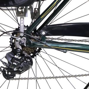 02-Bike-Raleigh-Strada-Plus-21-2022