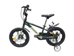 03-Bike-Overlord-V2000-16-Inches