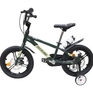 03-Bike-Overlord-V2000-16-Inches